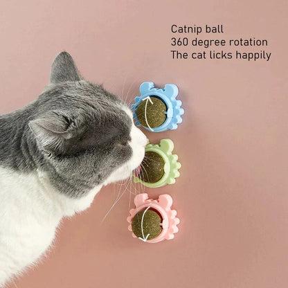 Meowsavvy Spinning Catnip Ball