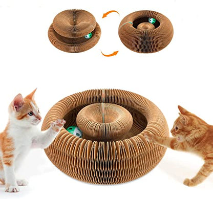 Cat play pack usa1y3c